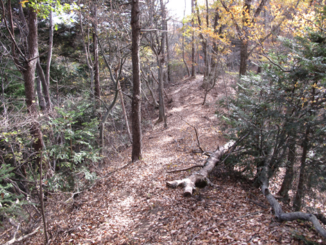 20181126hike (173)